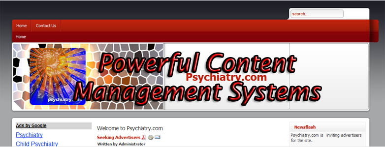 powerful content management systems