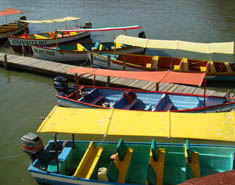 Content Management Systems